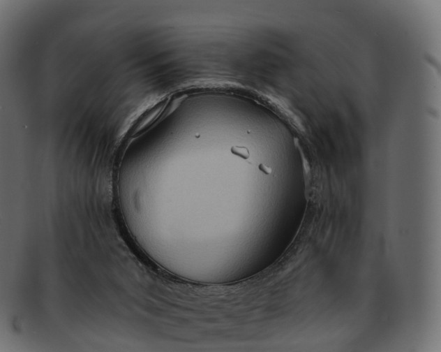 X0000091690015200709131615