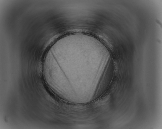 X0000091690016200709131615