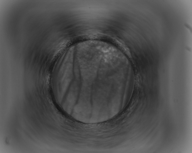 X0000091690018200709131615