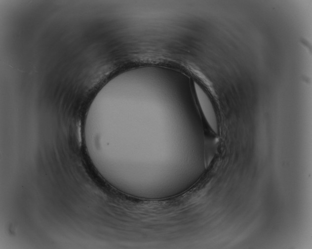 X0000091690020200709131615