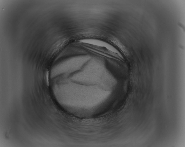 X0000091690022200709131615