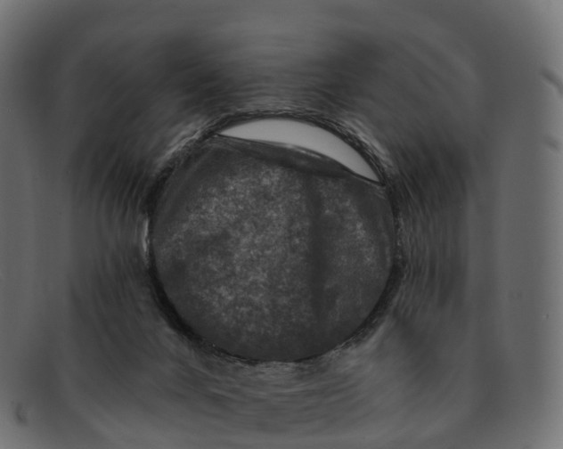 X0000091690024200709131615