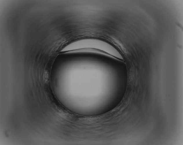 X0000091690025200709131615