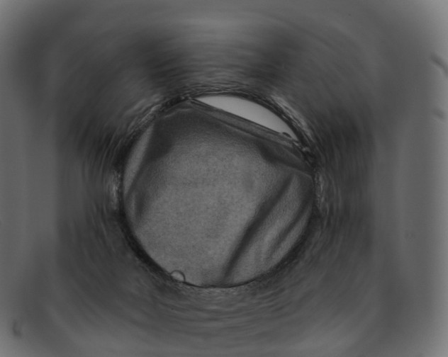 X0000091690026200709131615