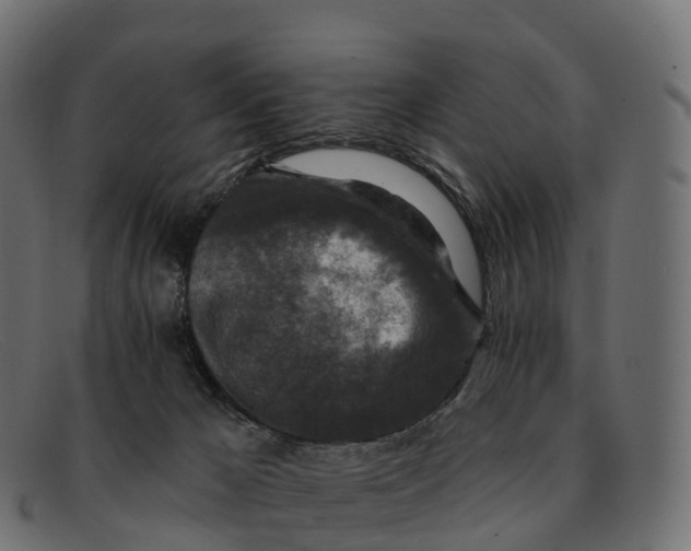 X0000091690029200709131615