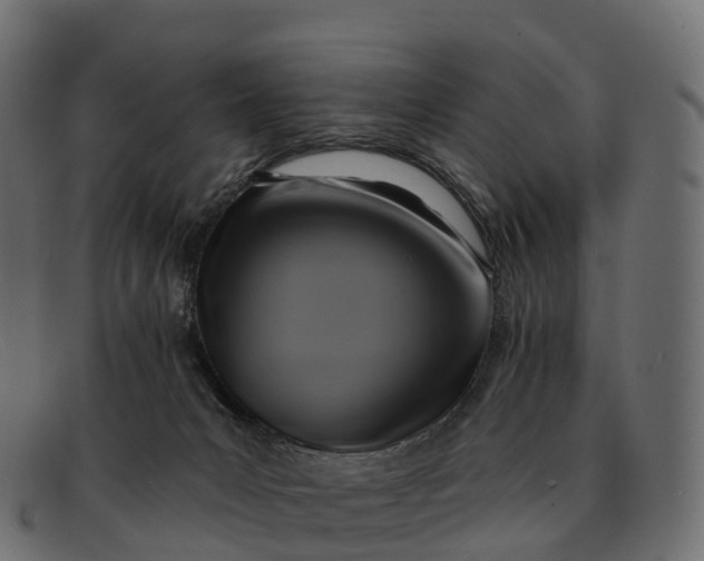 X0000091690031200709131615