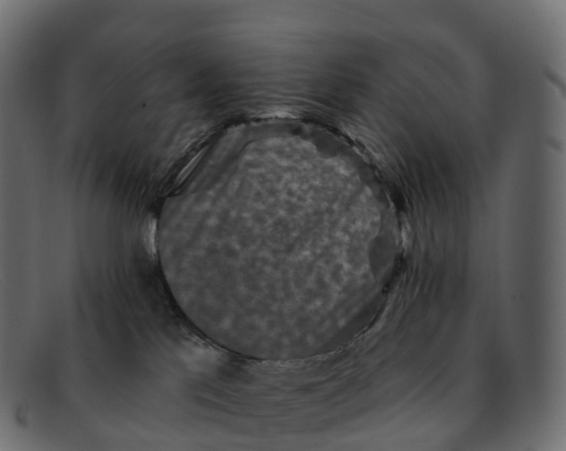 X0000091690041200709131615