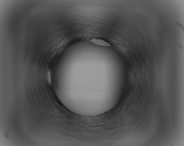 X0000091690042200709131615