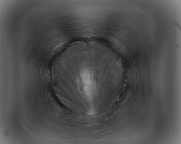 X0000091690043200709131615