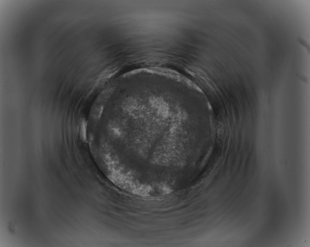 X0000091690046200709131615