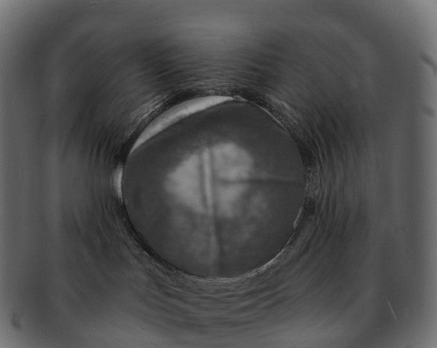 X0000091690047200709131615