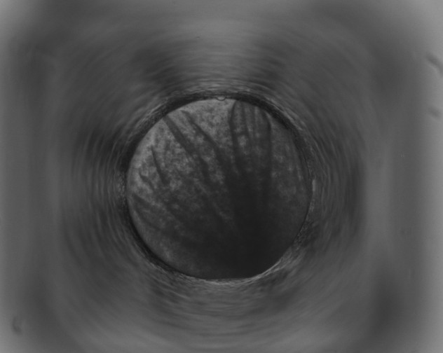 X0000091690048200709131615