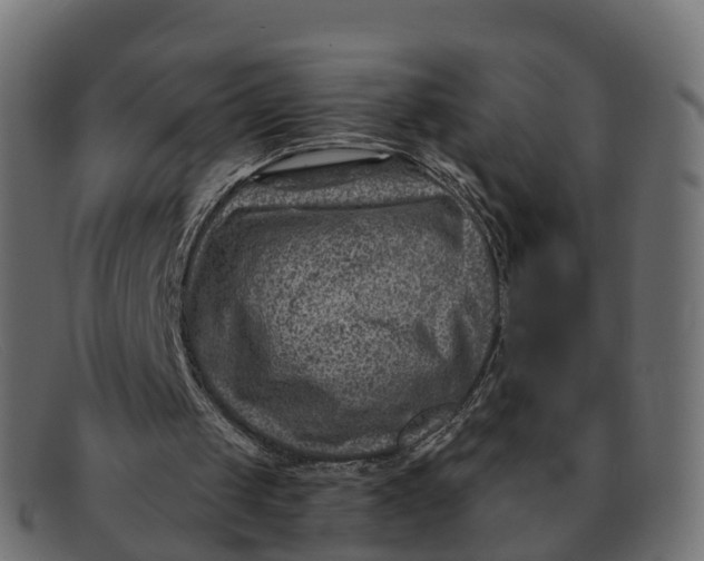 X0000091690049200709131614