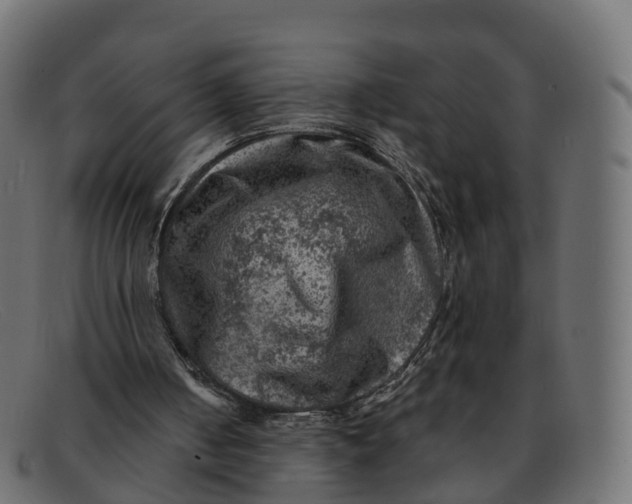 X0000091690050200709131614