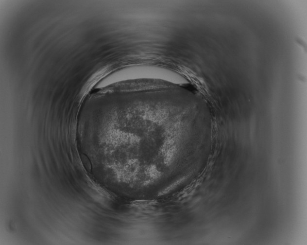 X0000091690051200709131614