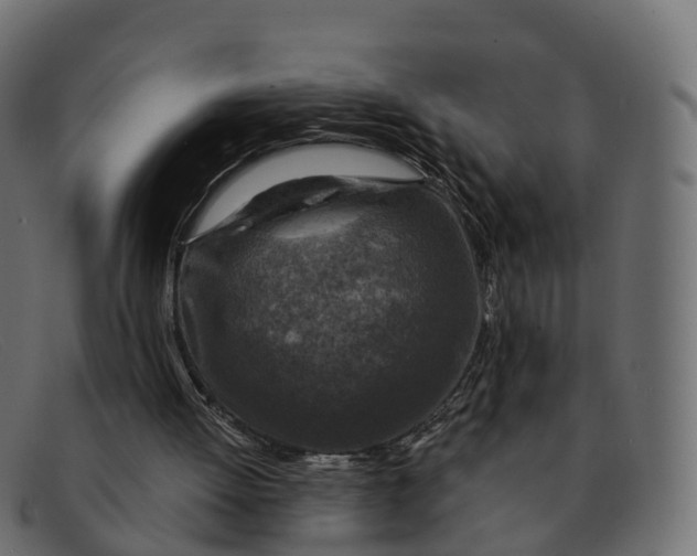 X0000091690052200709131614