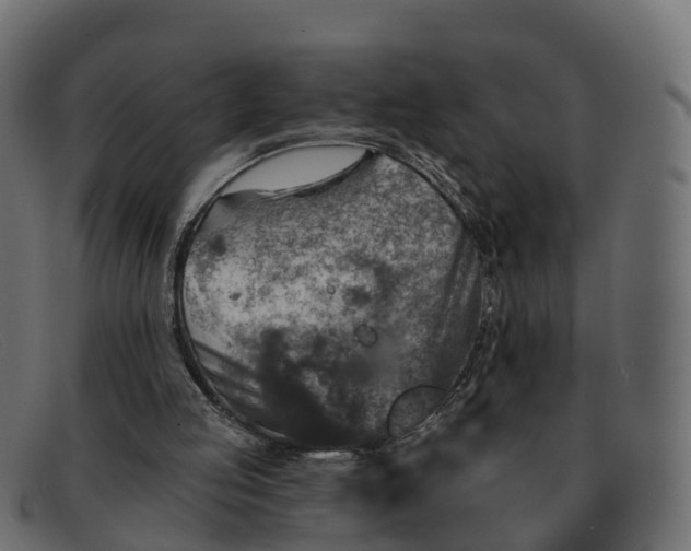 X0000091690053200709131614