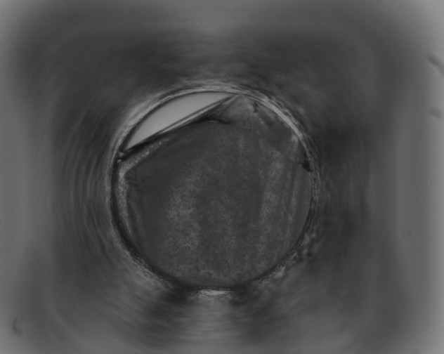 X0000091690055200709131614