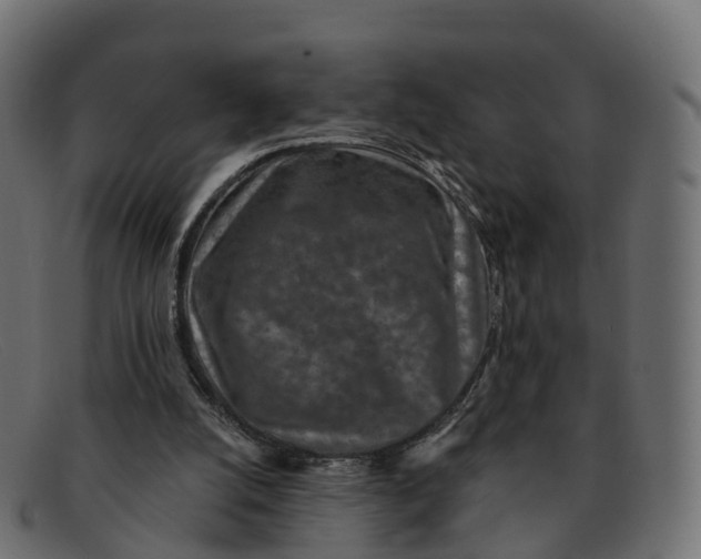 X0000091690056200709131614