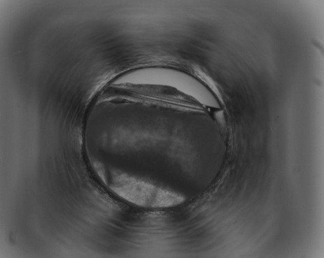 X0000091690059200709131614