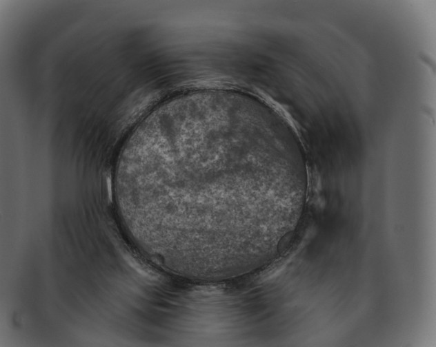 X0000091690061200709131614