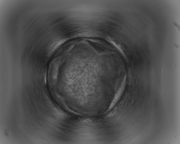 X0000091690062200709131614