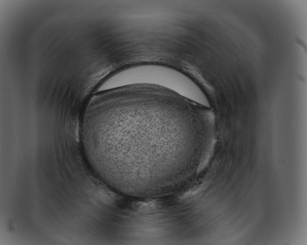 X0000091690068200709131615