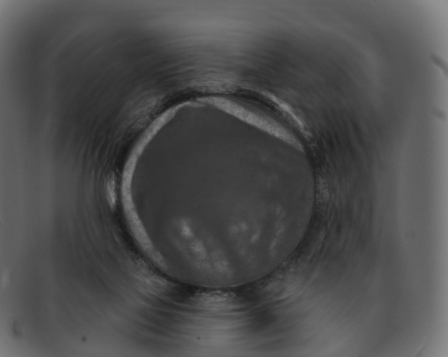 X0000091690069200709131615