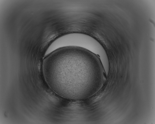 X0000091690072200709131615