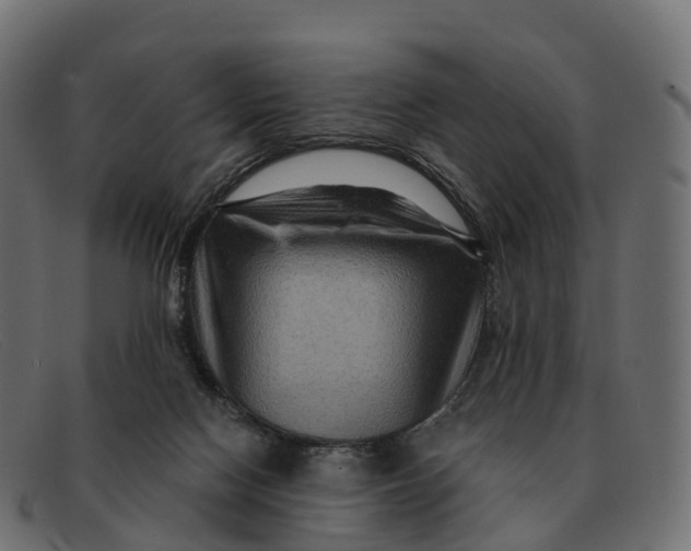 X0000091690074200709131615