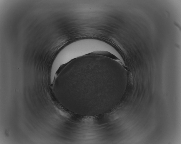 X0000091690076200709131615