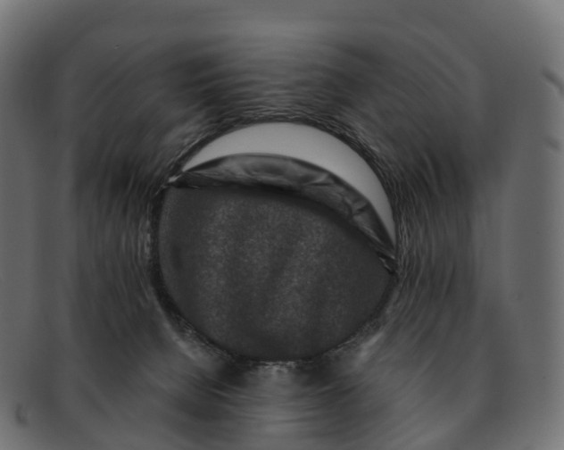 X0000091690080200709131615