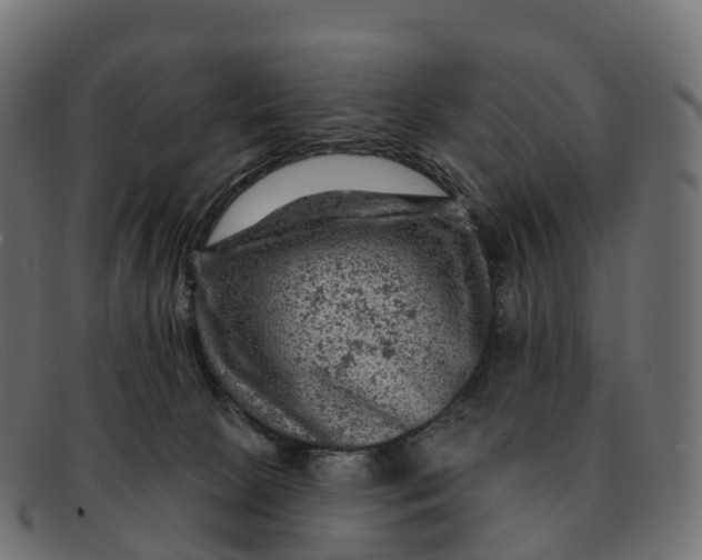 X0000091690081200709131615