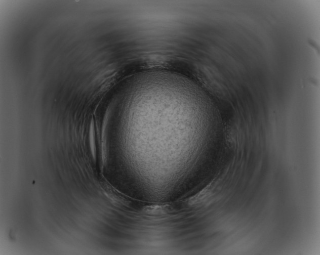 X0000091690082200709131615