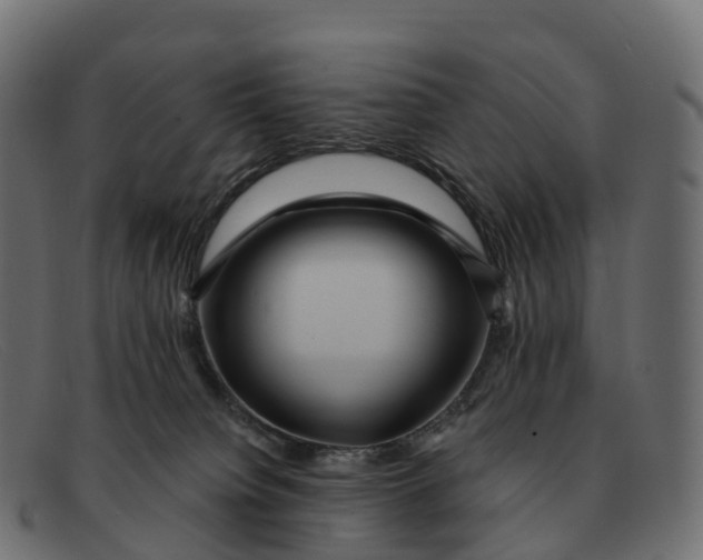 X0000091690084200709131615