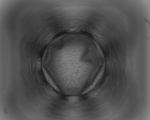 X0000091690085200709131615