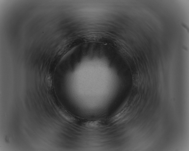 X0000091690086200709131615