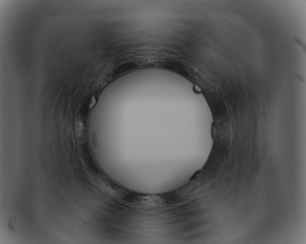 X0000091690087200709131615