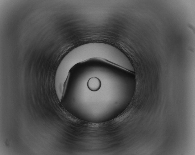 X0000091690096200709131615