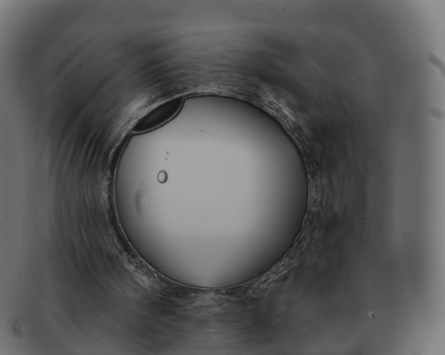 X0000091690098200709131614