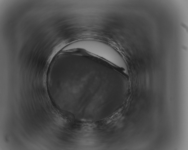 X0000091690099200709131614