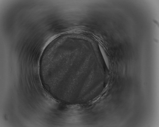 X0000091690100200709131614