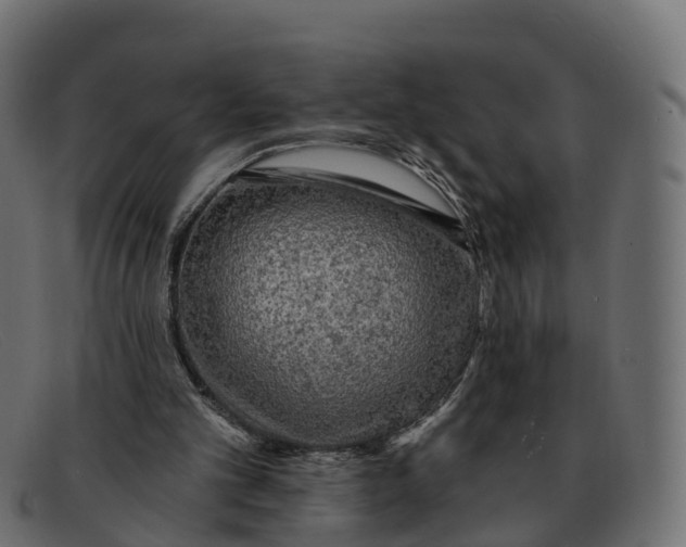 X0000091690101200709131614