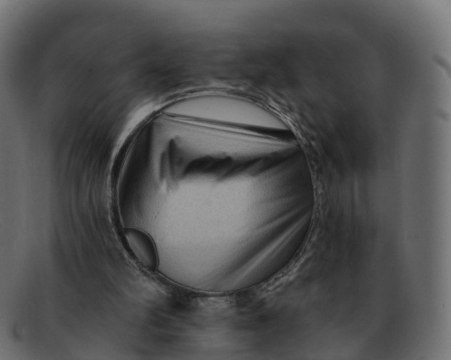 X0000091690102200709131614