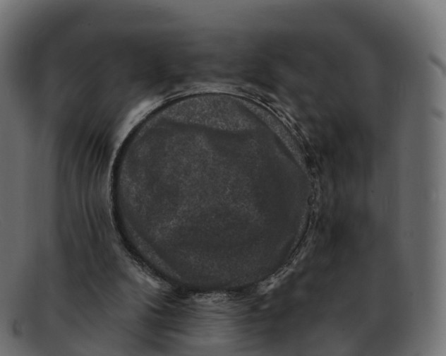 X0000091690104200709131614