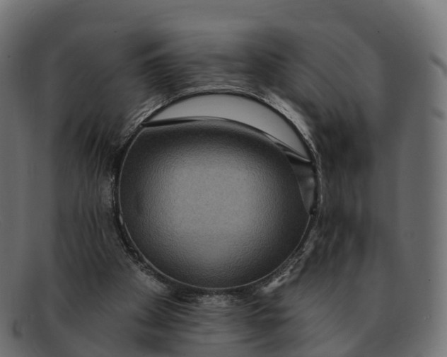 X0000091690105200709131614