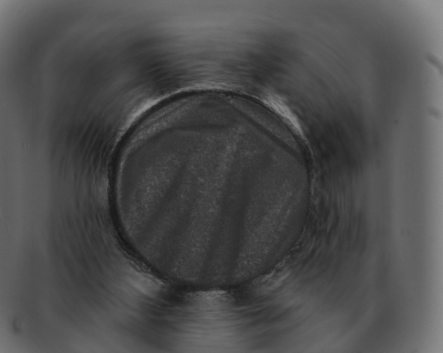 X0000091690108200709131614