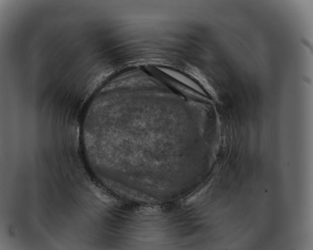 X0000091690110200709131614