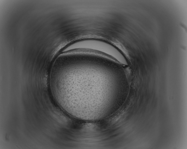 X0000091690111200709131614