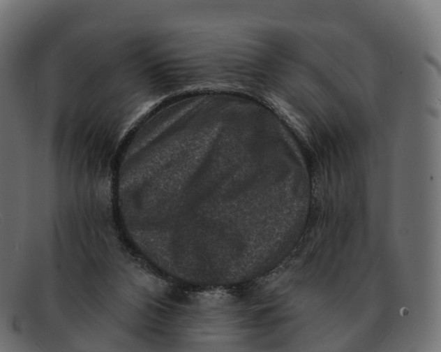 X0000091690112200709131614